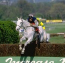 Desert Orchid jumps a fence during the 1988 Whitbread Gold Cup 