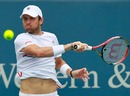 Mardy Fish hits down the line