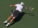 Mardy Fish dives to play a volley