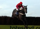 Tarquinius and Noel Fehily clear the last fence 