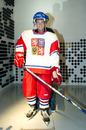 Tomas Berdych poses in an ice hockey outfit