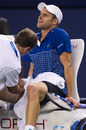 Andy Roddick grimaces in pain