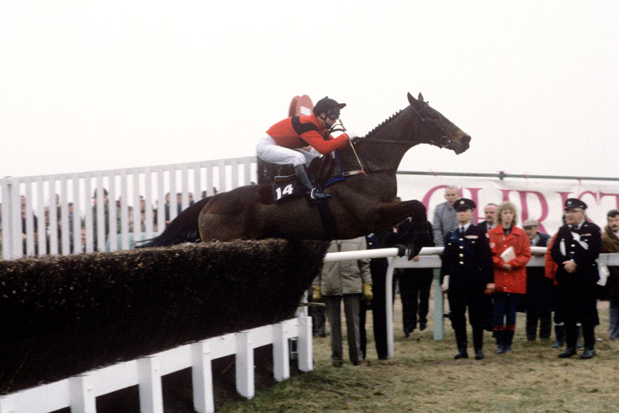 Dawn Run and Jonjo O'Neill clear a fence 