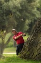 Damien McGrane plays from behind a tree