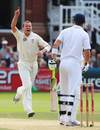 Peter Siddle was rewarded with Kevin Pietersen's wicket