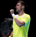 Robin Soderling reacts to his match-winning point 