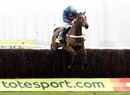 French Opera clears a fence under Barry Geraghty in the Game Spirit Chase