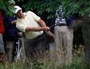 Padraig Harrington plays out of the long grass