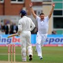 Tim Bresnan celebrates as he takes his fifth wicket