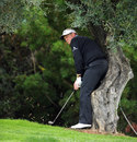 Colin Montgomerie plays from behind a tree