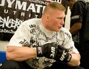 Brock Lesnar gears up for his fight with Frank Mir