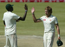 Kyle Jarvis high-fives Chris Mpofu after completing his maiden five-for