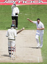 Darren Pattinson celebrates his maiden Test wicket, that of Hashim Amla