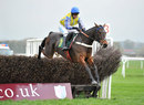 Peddlers Cross ridden by Timmy Murphy sails over a fence 