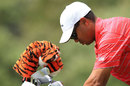 Tiger Woods searches for a club