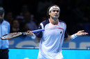 David Ferrer reacts after his win over Novak Djokovic