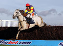Grands Crus sails over a fence in the hands of Tom Scudamore 