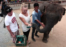 Rory McIlroy and girlfriend Caroline Wozniacki meet an elephant in Thailand