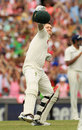 Michael Clarke is ecstatic after getting to a triple-century