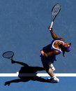 Serena Williams screams in frustration