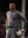 Heurelho Gomes was in top form against Fulham