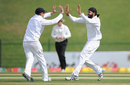 Monty Panesar celebrates his first wicket with Graeme Swann
