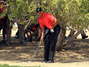 Tiger Woods finds himself in a tricky spot