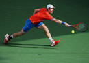 Andy Murray stretches for a forehand