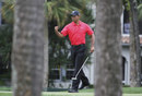Tiger Woods punches the air in delight