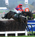 Sprinter Sacre and Barry Geraghty clear a fence in the Arkle Trophy