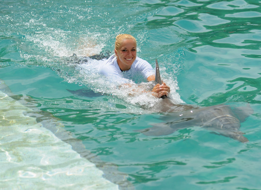 Sabine Lisicki swims with dolphins ahead of the Sony Ericsson Open