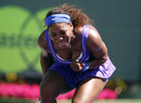Serena Williams lets out a roar of delight