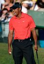 Tiger Woods lets out a roar after sealing victory