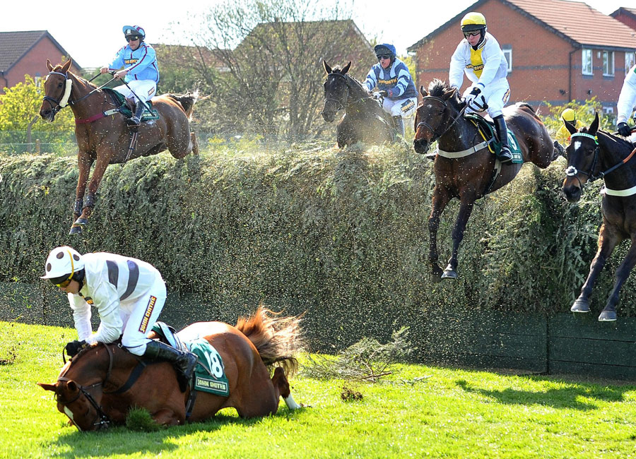 Presentandcorrect takes a fall at Becher's Brook but escapes unhurt