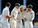 Team-mates congratulate Nathan Lyon on another wicket