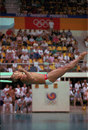 Greg Louganis won back-to-back golds in the 3m Springboard and 10m platform, despite hitting his head in the preliminaries