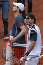 David Ferrer celebrates his win over Andy Murray 