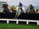 Desert Orchid on his way to victory at Cheltenham