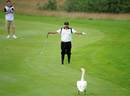Joel Sjoholm gestures to a swan 