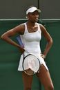 Venus Williams cuts a forlorn figure