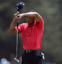 Tiger Woods wipes his brow