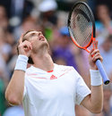 Andy Murray looks above as he celebrates