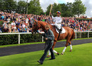 Frankie Dettori carries the Olympic Torch aboard Monsignor