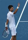 Novak Djokovic waves to the crowd after his victory