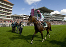 Frankel is the toast of York