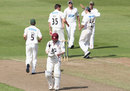 Leicestershire's players celebrate the dismissal of Niall O'Brien