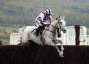 Sire Collonges, ridden by Ruby Walsh, clears a fence 
