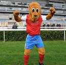 York City's Yorkie the Lion celebrates winning the Football League Mascot Race at Doncaster Racecourse