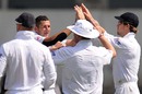 Tim Bresnan celebrates after taking a wicket