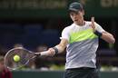 Tomas Berdych meets a forehand